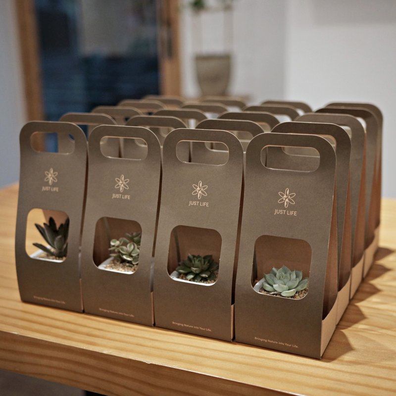 客製化禮物 | 企業ESG贈禮 | 婚禮小物 | 迷你多肉禮盆 | - 盆栽/植栽 - 植物．花 綠色