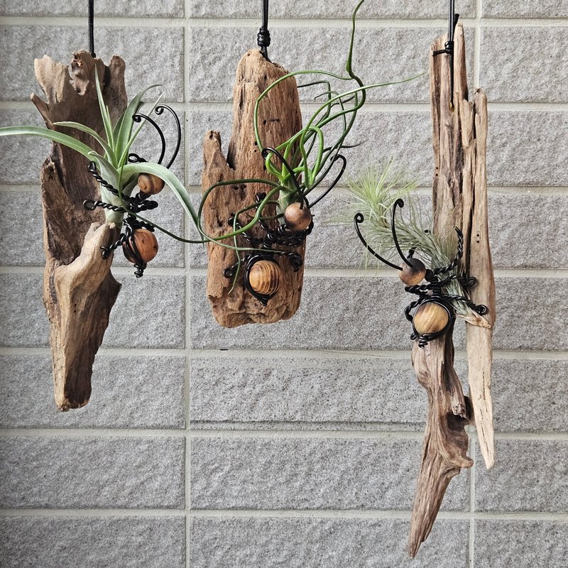 【螞蟻上樹】含空鳳 - 擺飾/家飾品 - 木頭 咖啡色