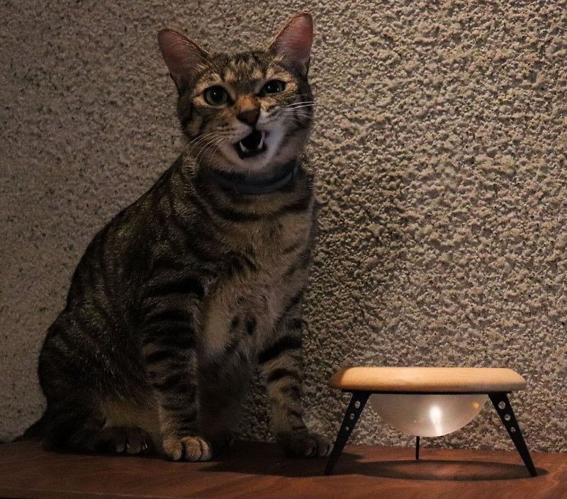 木頭 寵物碗/碗架/自動餵食器 - 斑家UFO series  飛碟碗架x磨砂黑  台灣製,貓碗,寵物碗,毛孩碗,
