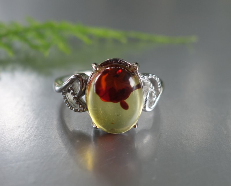 Amber 琥珀 天然波羅的海金珀 戒指 2.65克 植物珀 花珀 非二代琥 - 戒指 - 半寶石 多色
