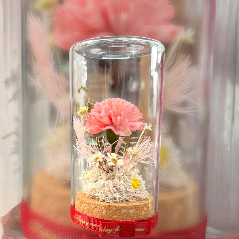【阿瑪斯蘭花文創】康乃馨瓶中花/母親節禮物/含禮物包裝 - 乾燥花/永生花 - 植物．花 