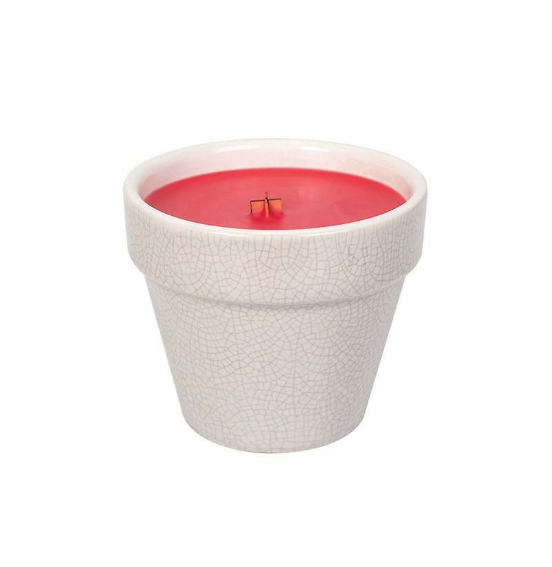 [VIVAWANG] 8.5oz Herbal Ceramic Potted Cup Wax - Stem Yellow Rhyme - เทียน/เชิงเทียน - เครื่องลายคราม สีแดง