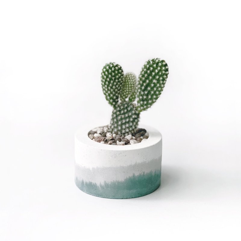 (In stock) Morandi Green Series | White black hat small round three-color irregular Cement cactus planting - ตกแต่งต้นไม้ - ปูน สีเขียว