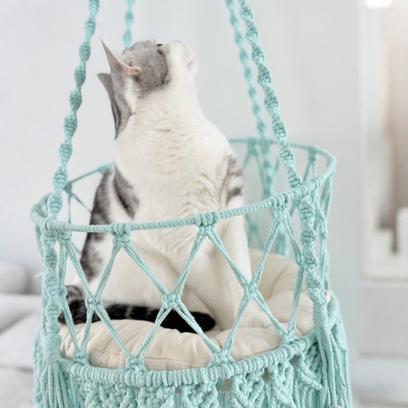 baby blue Macrame cat bed Macrame cat hammock Hanging cat swing Large cat tree - ที่นอนสัตว์ - ผ้าฝ้าย/ผ้าลินิน สีน้ำเงิน
