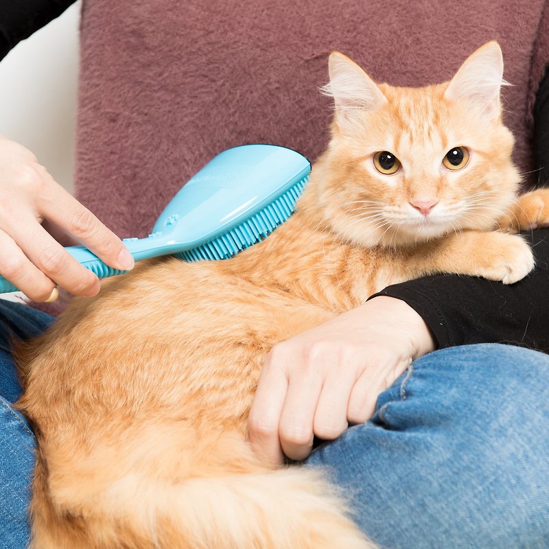 特許取得済みのドットマッサージペットコーム（ブルーモデル - 豊かな毛量）は、猫や犬のペットコーミングに使用できます。 - グルーミング - プラスチック ブルー