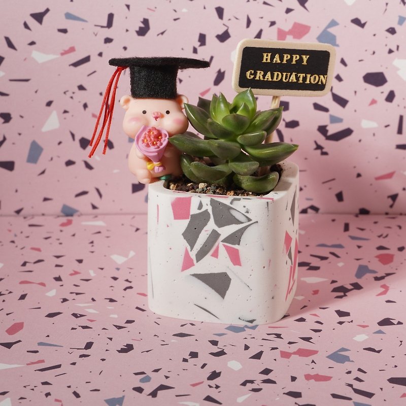 [Customized graduation gift] Succulent terrazzo potted plant DIY planting material package | Comes with a portable gift box - ตกแต่งต้นไม้ - วัสดุอื่นๆ หลากหลายสี