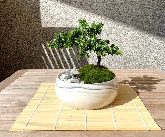 盆栽用飾台 盆栽・水石用 卓 台座 史郎作 盆栽 水石 小卓 盆栽