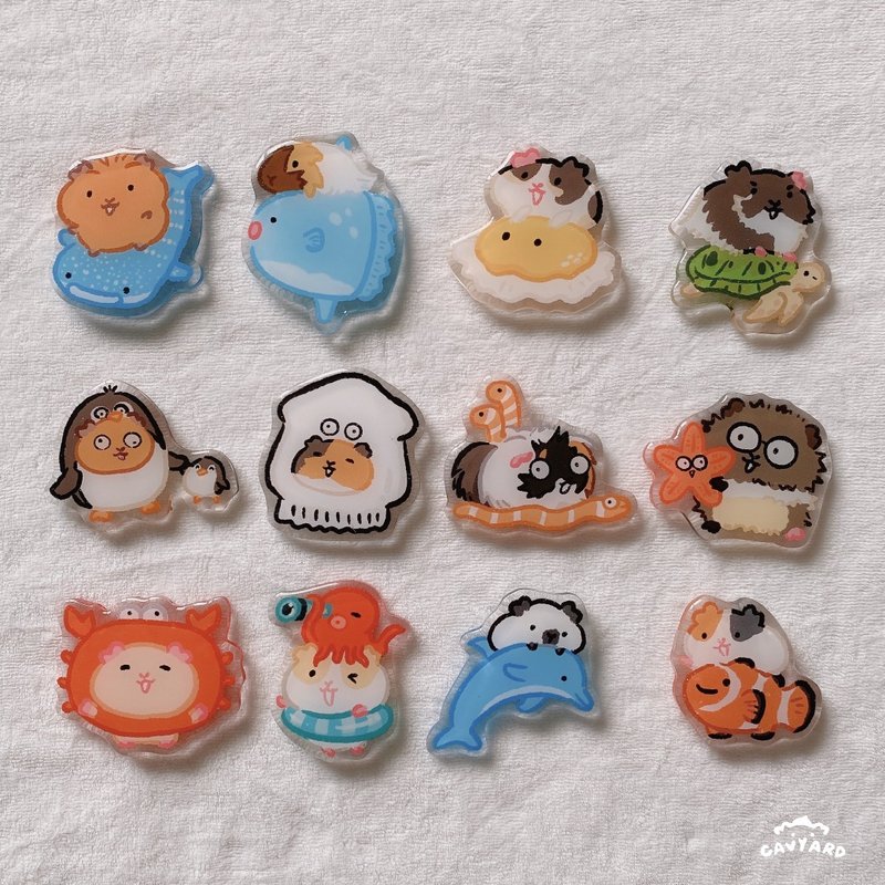 海の生き物 強力マグネット モルモット - マグネット - アクリル 