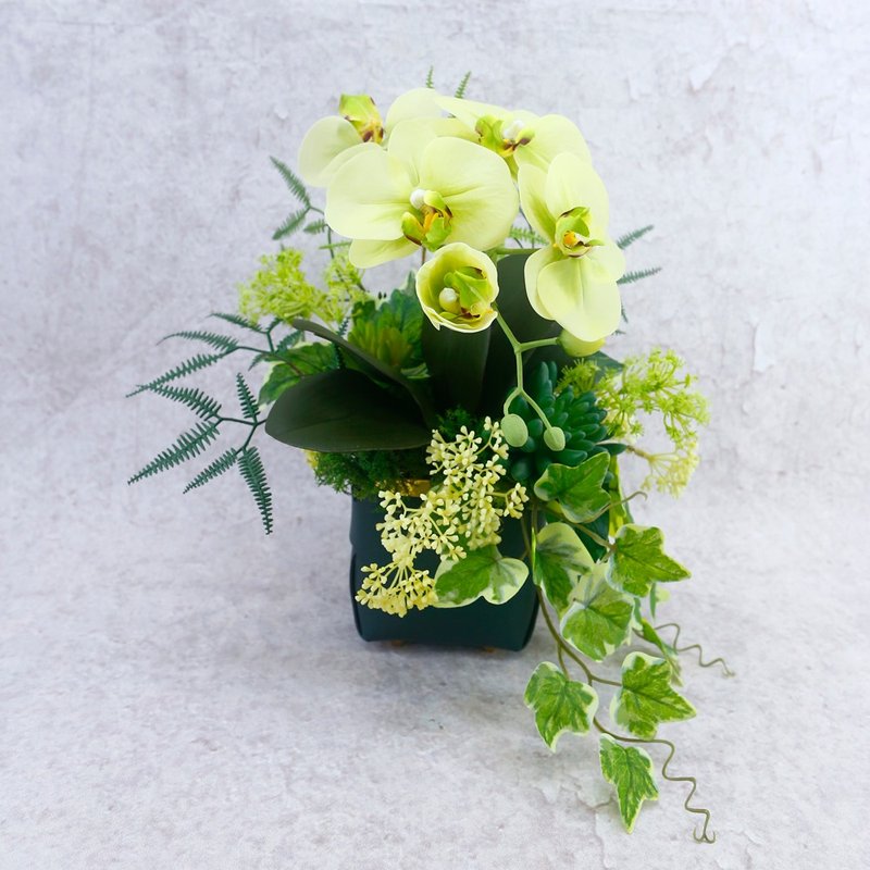 Light green Phalaenopsis leather basin fragrance flower gift/realistic flower/gift/never fade/arrangement/floral art - ตกแต่งต้นไม้ - วัสดุอื่นๆ 