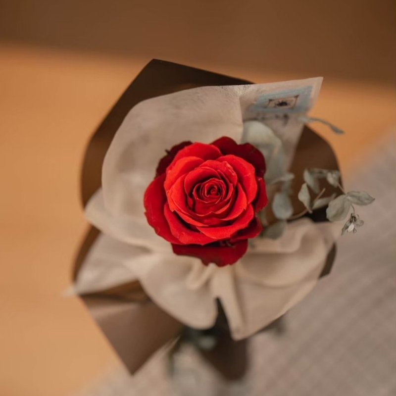 Single everlasting red rose for Valentine's Day - Items for Display - Plants & Flowers Multicolor