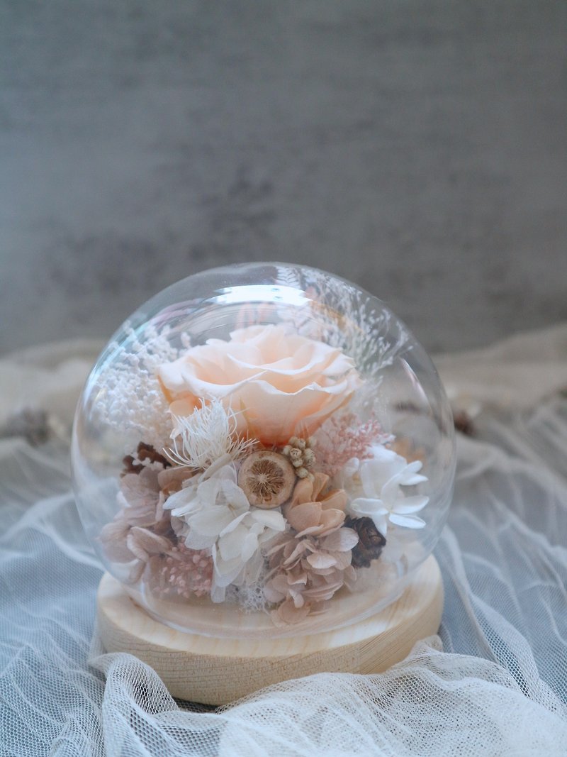 永生花玻璃罩水晶球 - 溫柔淡橙 - 乾燥花/永生花 - 玻璃 
