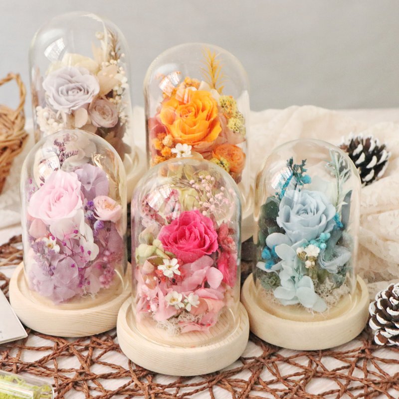 小玻璃花盅 成品 極度花燥 永生花 花禮 - 乾燥花/永生花 - 植物．花 粉紅色