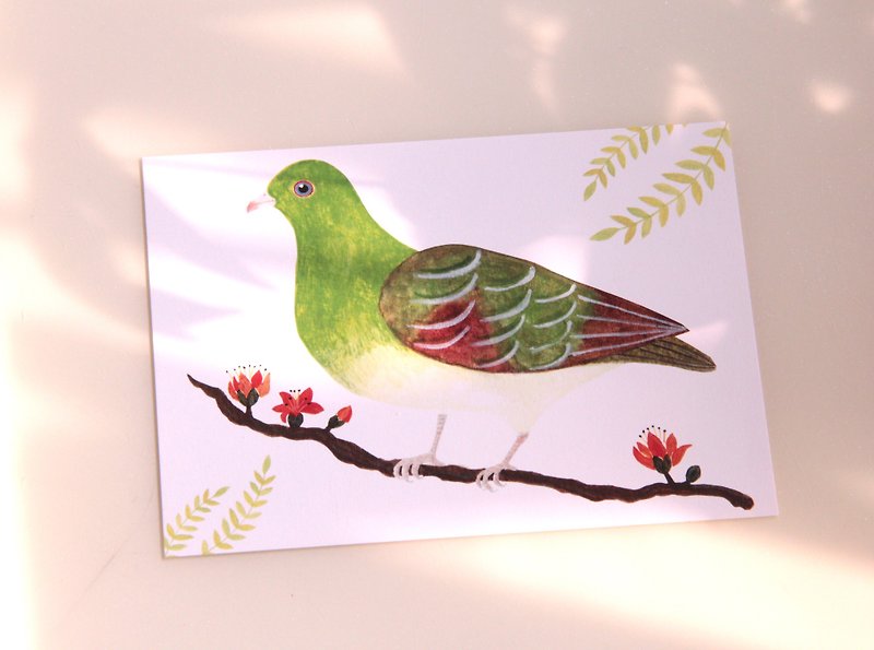 Hong Kong wild bird green pigeon watercolor illustration postcard - การ์ด/โปสการ์ด - กระดาษ สีเขียว