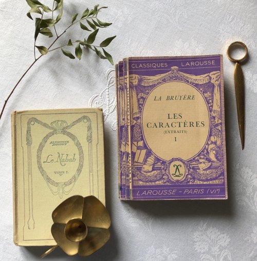 1930年代のフランスの古典的なポケットブック_lescaractères