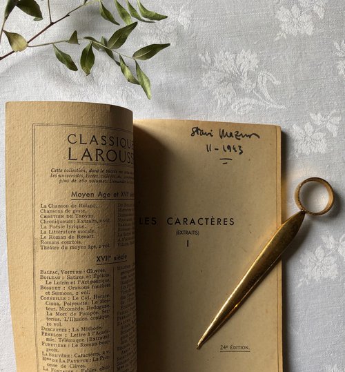 アンティーク本　フランス製　Interviews fantaisistes Amazon.co.jp: 19世紀 フランスアンティーク 永遠の淑女とモード