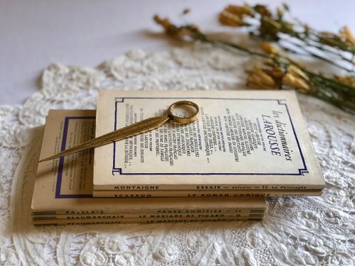 アンティーク本　フランス製　Interviews fantaisistes Amazon.co.jp: 19世紀 フランスアンティーク 永遠の淑女とモード