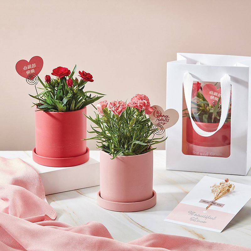 Pre-order [Mother's Day Gift Box] Xinyi Potted Gift Bag Carnation Potted Mother's Day Gift Healing Plant - Plants - Pottery Pink