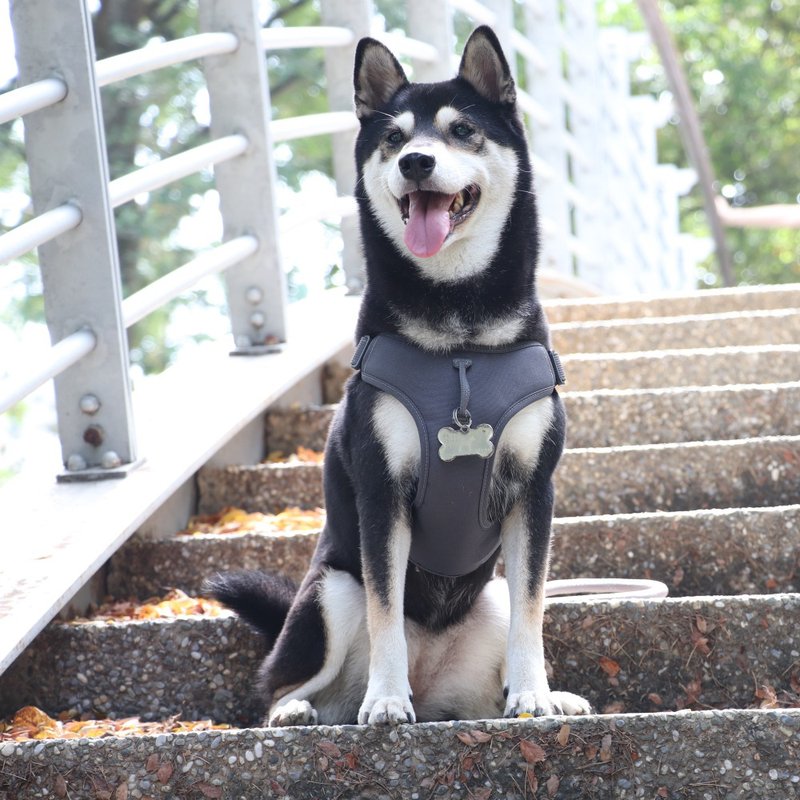 URBAN HARNESS (EASY FIT) Pet Wrap-Around Simple Harness GY - ปลอกคอ - ไนลอน สีเทา