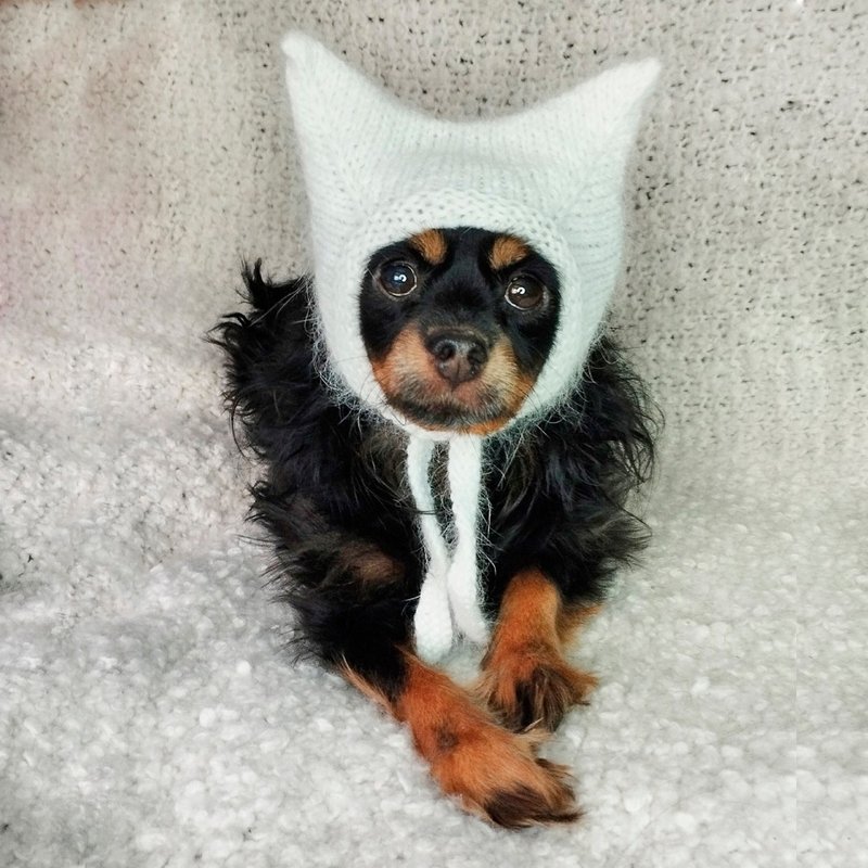 Cat ear hat for dog Hat with ears Kitty hat Devil hat - Clothing & Accessories - Wool White