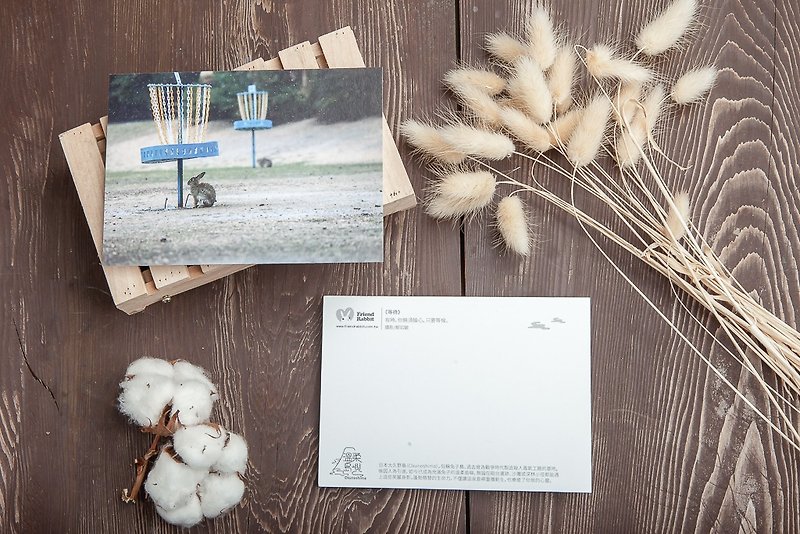 Rabbit Photography Postcard-Waiting - การ์ด/โปสการ์ด - กระดาษ สีเทา