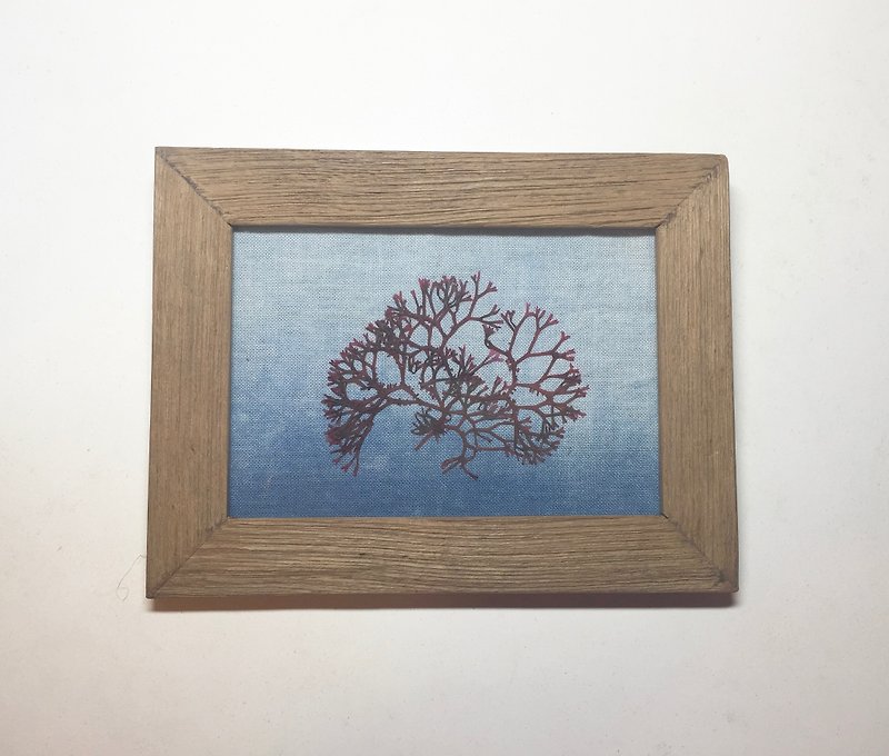 Seaweed 海藻art Indigo dyed 藍染ART - 掛牆畫/海報 - 其他材質 藍色