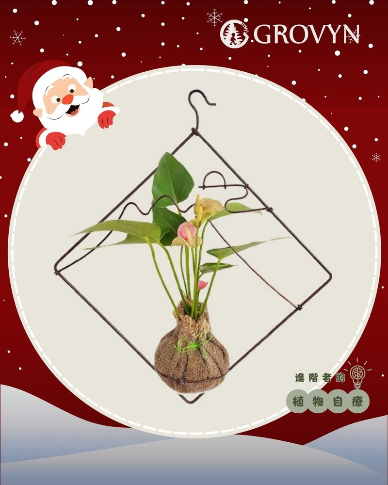 [Green Board] A Warm Plant Card – Imprint Your Unique Story with Slow Fire and Greenery - จัดดอกไม้/ต้นไม้ - พืช/ดอกไม้ 