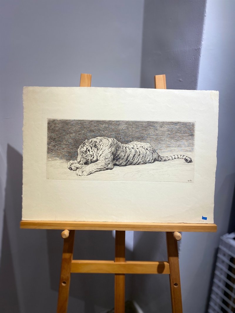 British artist Herbert Dicksee - 19th century etchings - Tiger/Tiger ...