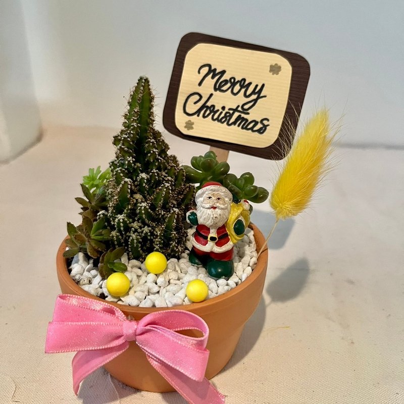 Christmas Santa Claus gifts festive gifts succulent group pots succulents creative potted plants - ตกแต่งต้นไม้ - พืช/ดอกไม้ สีเขียว