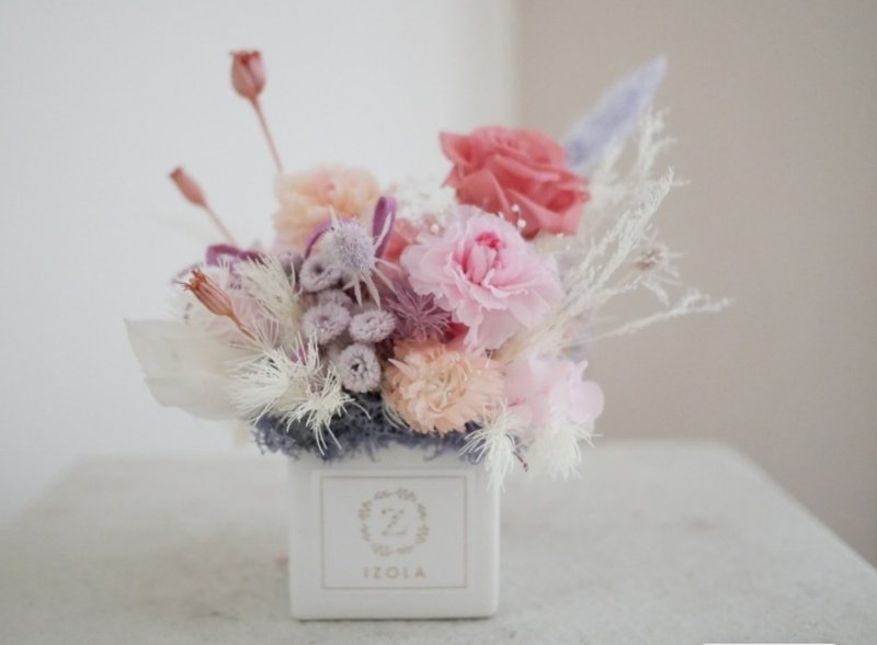 Dried Flower Pots - Carnation Immortal Pot | Immortal Flower Table Flower/Thanksgiving, Birthday Gifts - ช่อดอกไม้แห้ง - พืช/ดอกไม้ สีม่วง