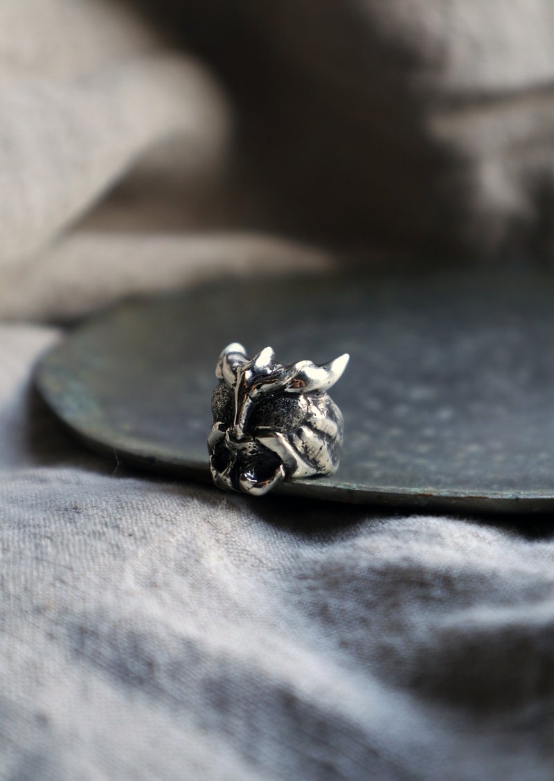 Kamian Raidershi Series—Kuuga Sterling Silver Ring - แหวนทั่วไป - เงินแท้ 