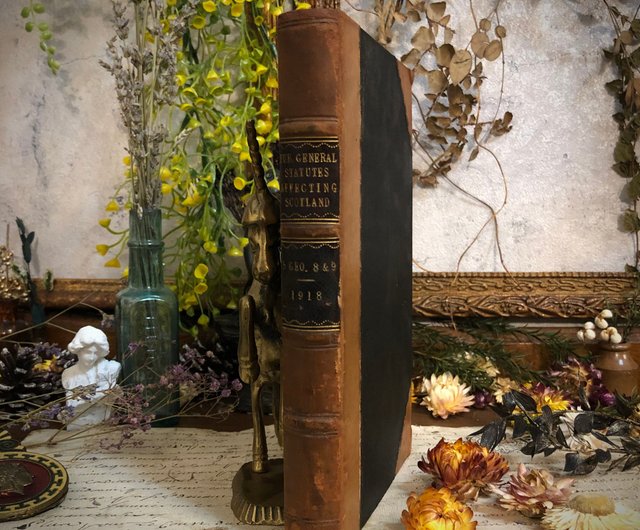 1927年にイギリスで出版された自然科学系の古書 アンティーク 39 イギリスの古い植物図鑑 アンティーク ヴィンテージ 洋書