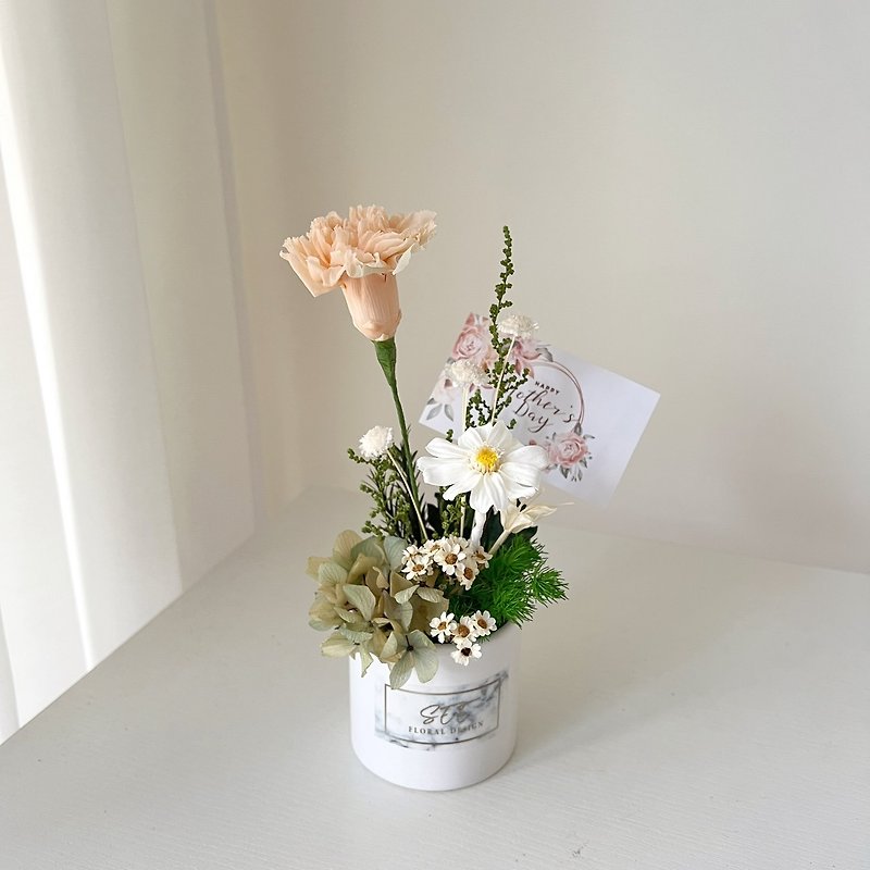 Small potted peach and carnation plant - Dried Flowers & Bouquets - Plants & Flowers 