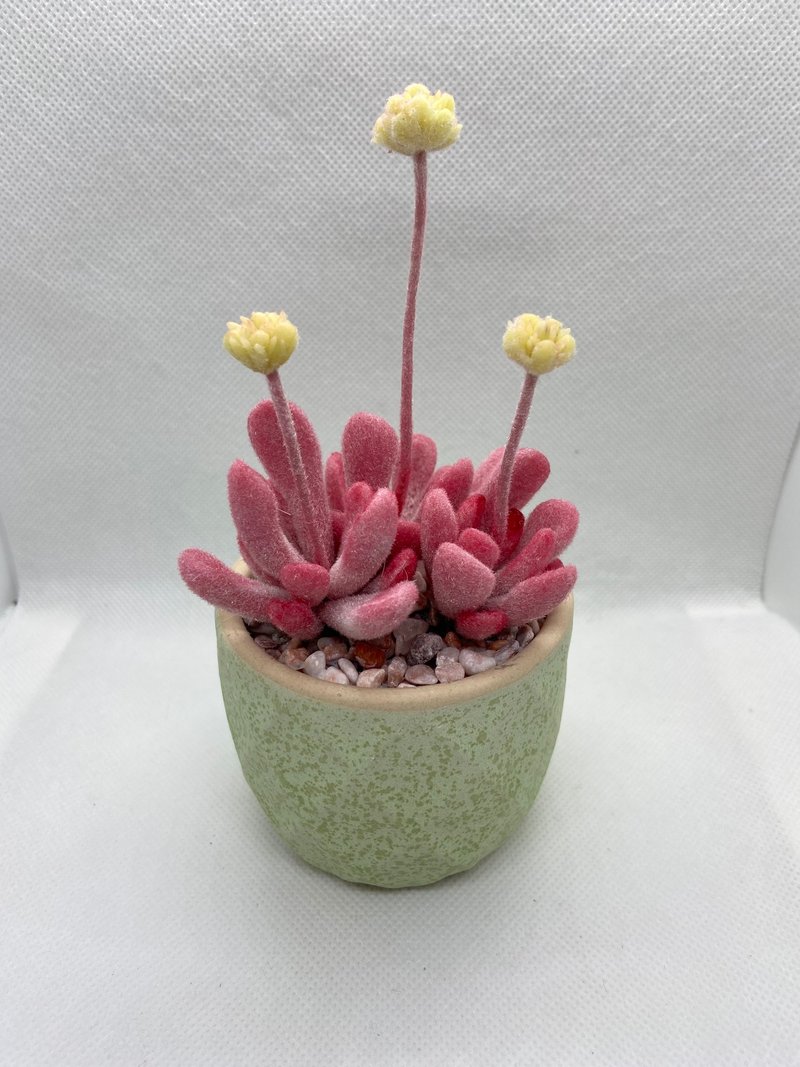 Simulated succulent potted plant-dream pile/clay handmade - ตกแต่งต้นไม้ - พืช/ดอกไม้ สึชมพู