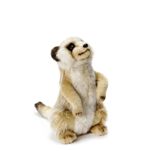 みーやきゃっと wk20004.jpg