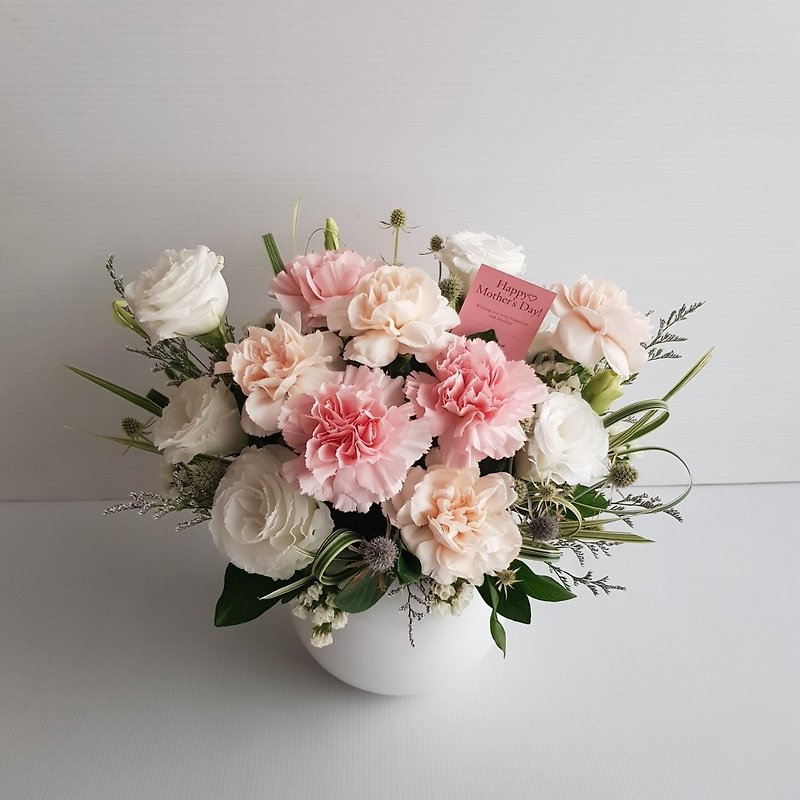 flowers. Love mommy. Imported carnation round pot flowers for Mother's Day. Gentle Mommy is apricot pink and white. - ตกแต่งต้นไม้ - พืช/ดอกไม้ สึชมพู