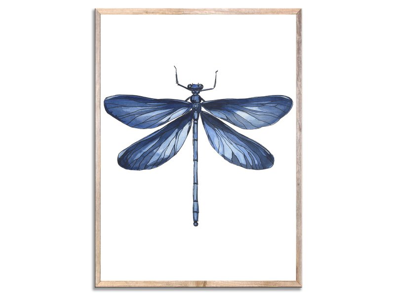 Dragonfly Art Print Blue Dragonfly Wall Art Beautiful Insect Watercolor Painting - 海報/掛畫/掛布 - 紙 藍色