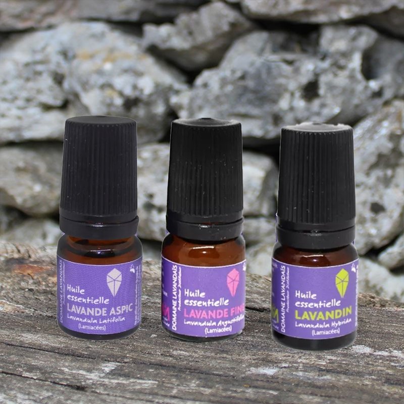 フランス直輸入ラベンダー精油 - ロールオンボトル - アロマ・線香 - ガラス パープル