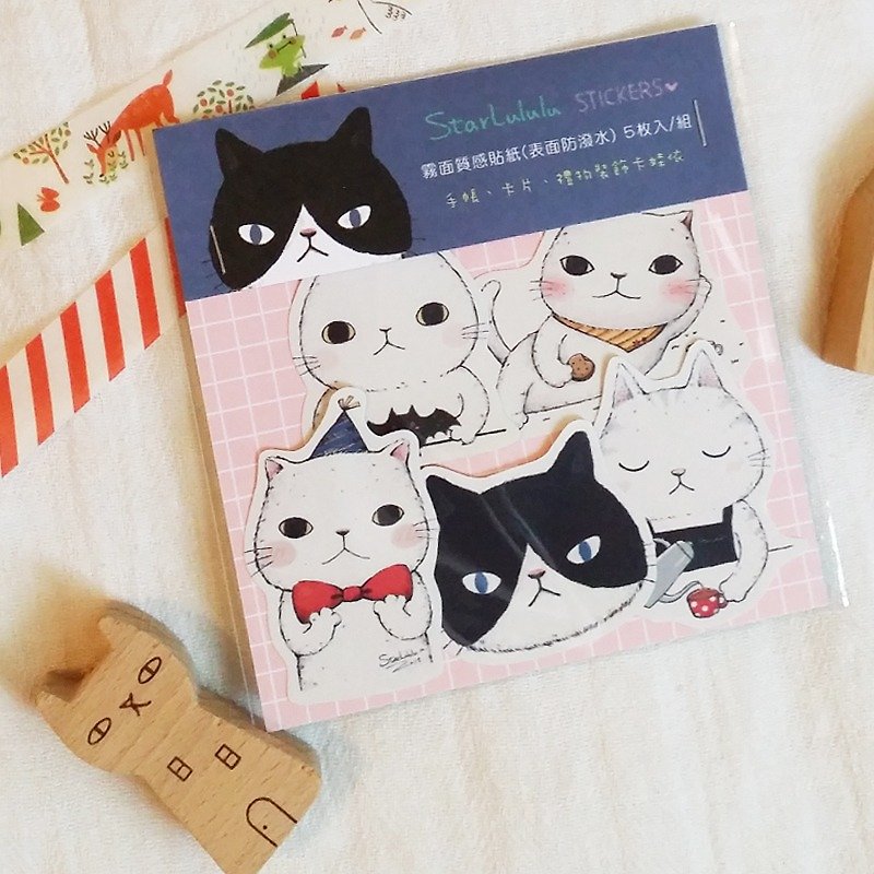 Matte Texture Sticker / Cute Cat 02 (5pcs) - Stickers - Paper 