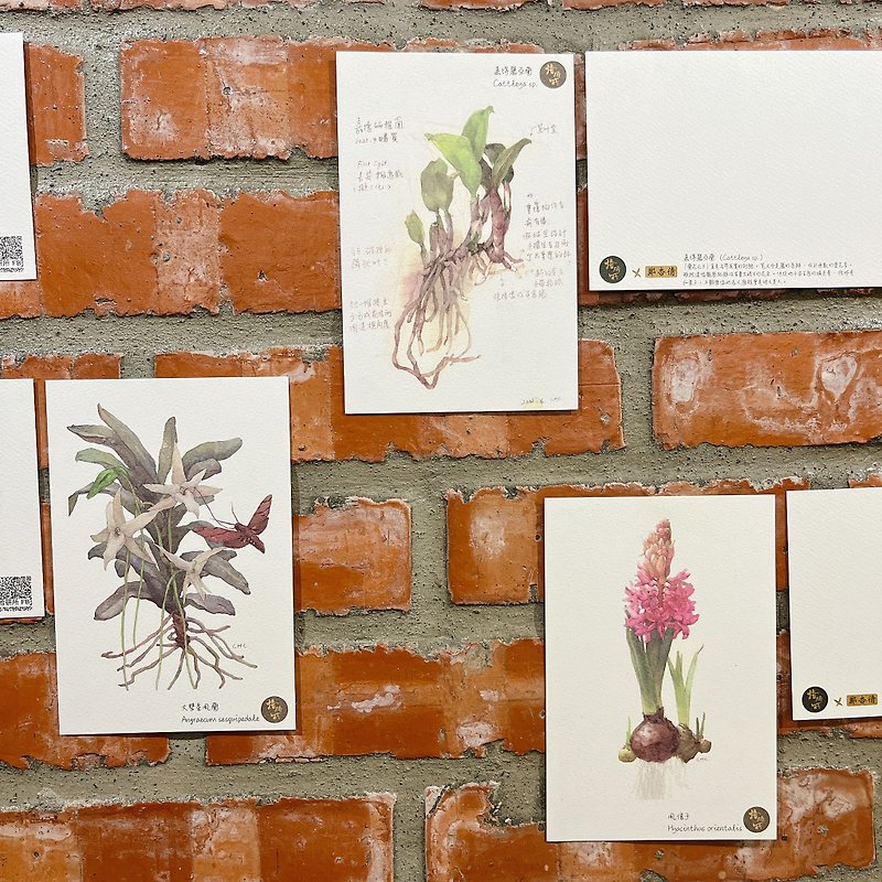 生き物の絵はがき-鄭Xingqian氏の作品による植物の絵 - カード・はがき - 紙 カーキ