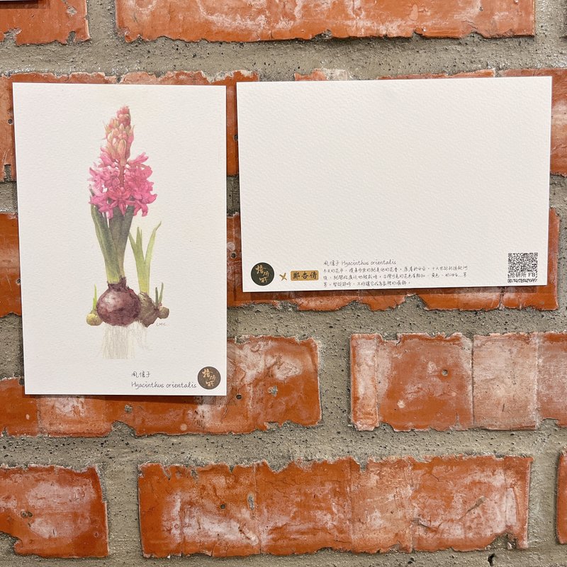 生物ドローイングポストカード - 植物画 by 鄭杏倩先生の作品 - はがき・メッセージカード - 紙 カーキ