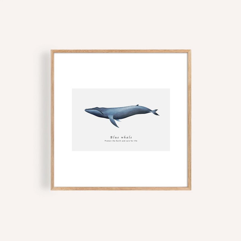 藍鯨 Blue Whale / 海洋動物插畫掛畫 / 藝術無框輸出 - 海報/掛畫/掛布 - 紙 