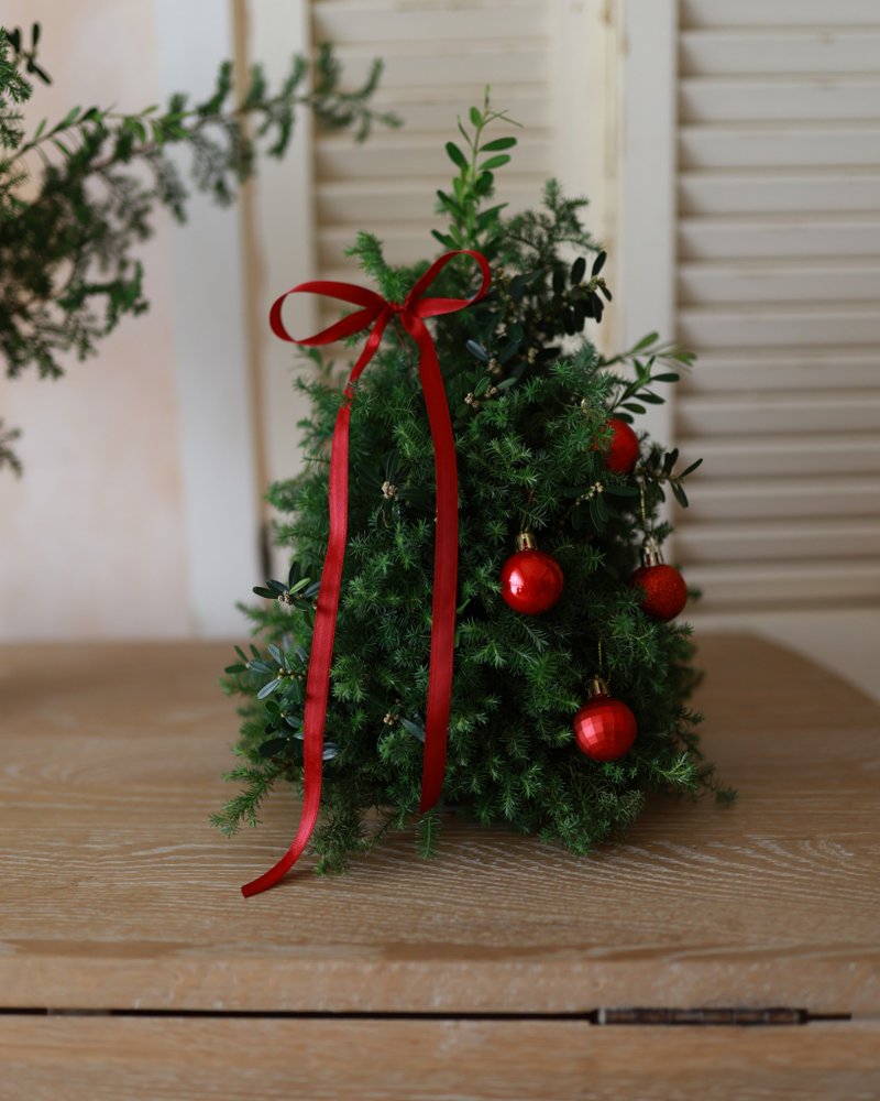 フレッシュな杉の、シンプルで上質なクリスマスツリー - ドライフラワー・ブーケ - 寄せ植え・花 