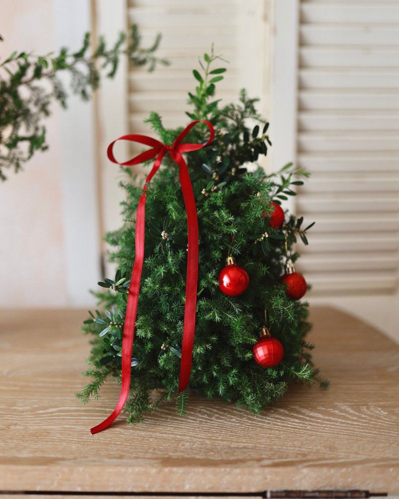 フレッシュな杉が香る、シンプルで上質なクリスマスツリー。迅速発送。 - ドライフラワー・ブーケ - 寄せ植え・花 