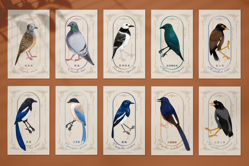 Taiwan exotic wild bird hand-painted style postcard set/10pcs - การ์ด/โปสการ์ด - กระดาษ หลากหลายสี