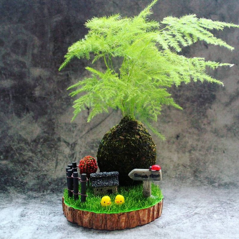 【台北場】下班隨手作 | 木質苔球小院 - 植栽/花藝 - 植物．花 