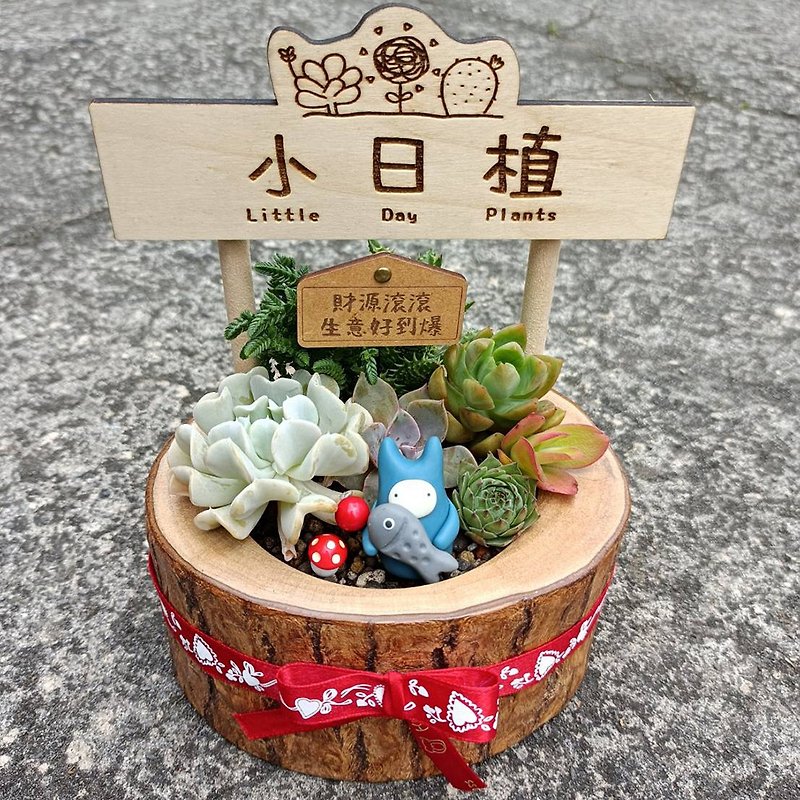 [Signboard vs. Succulent Big Tub] Custom-made signboard. Letter plate. Greeting card included - Plants - Plants & Flowers Brown