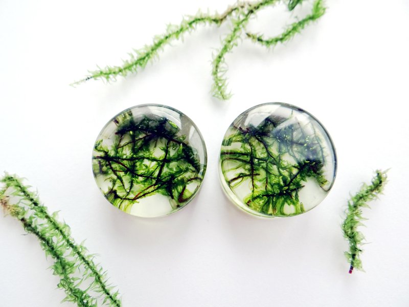 Moss ear gauges Plugs Tunnels Resin art earrings Forest Nature lover gift 2g 0g - ต่างหู - พืช/ดอกไม้ สีเขียว