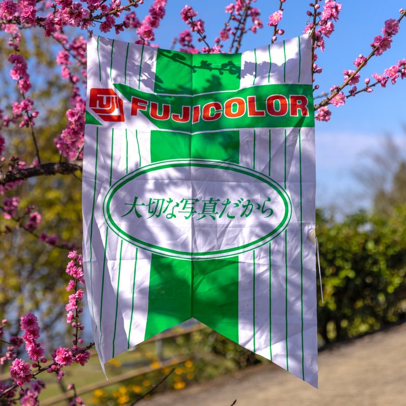 桑惠商號 昭和 日本製 富士FUJIFILM 經典LOGO廣告掛旗 絕版品 - 擺飾/家飾品 - 絲．絹 多色
