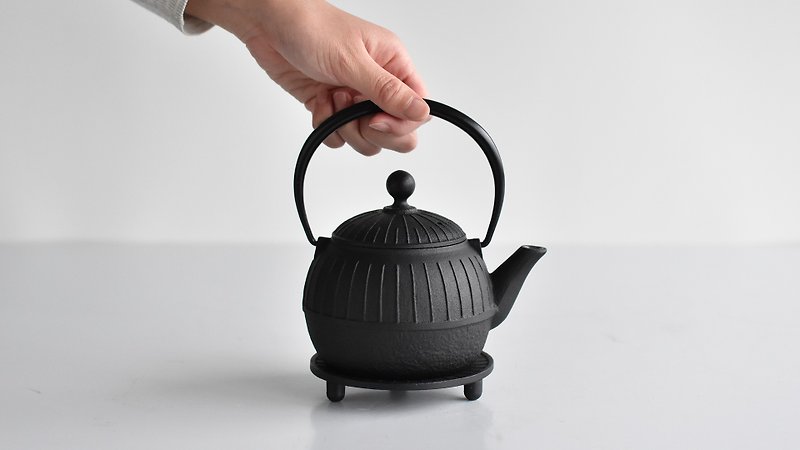 Cast iron teapot【Chigusa】(teapot+bottle) - Teapots & Teacups - Other Metals 