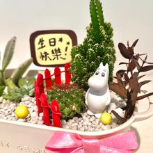 多肉植物のグループポット トトロ ジブリ 枯山水 マイクロ風景 鉢植え